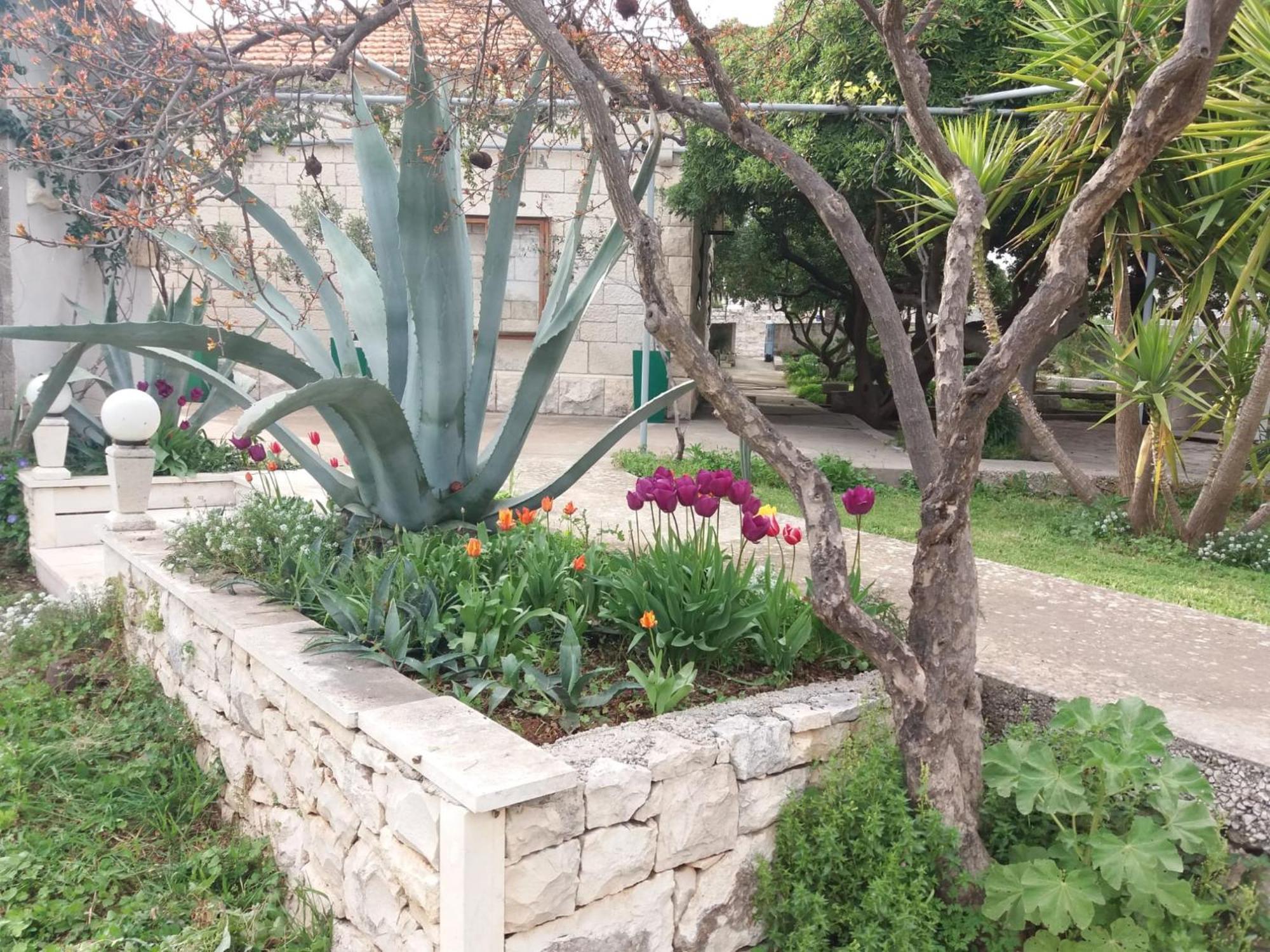 Apartments Franka Sumartin Zewnętrze zdjęcie